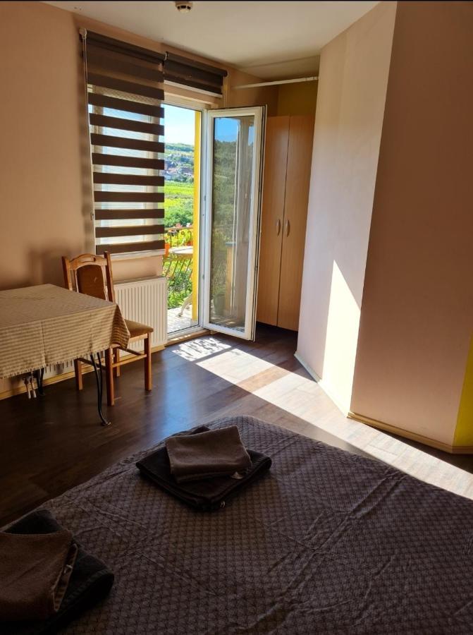 Vila Belilo Sremski Karlovci Luaran gambar